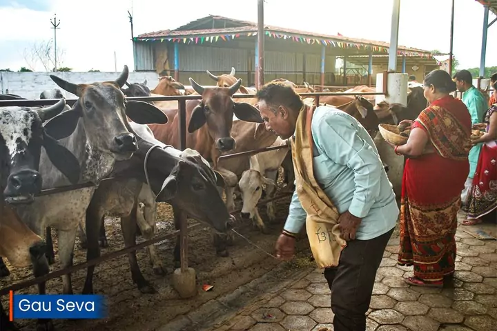 Gau Seva